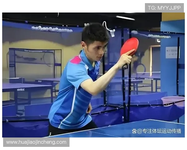 乒乓球技艺探秘：北京乒乓球队防反战术的深度解析与应用