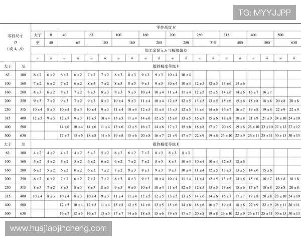 北京飞盘队节奏表现分析与战术优化探讨