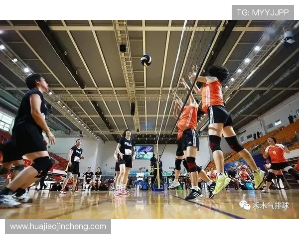 武汉排球队引领潮流最新排球战术十强解析与展望